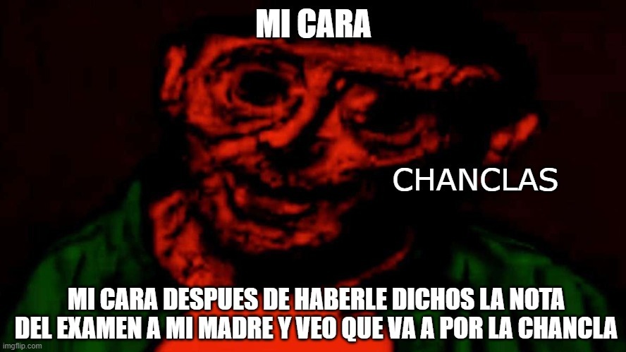 Chanclas - meme