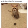 commented item thumbnail