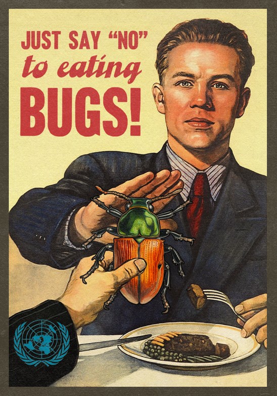 Just Say No to Eating Bugs - meme