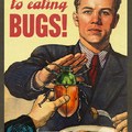 Just Say No to Eating Bugs