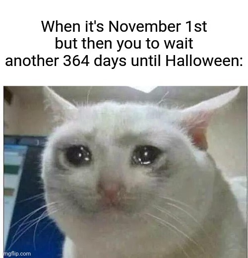 When spooky time is over - meme