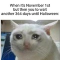 When spooky time is over