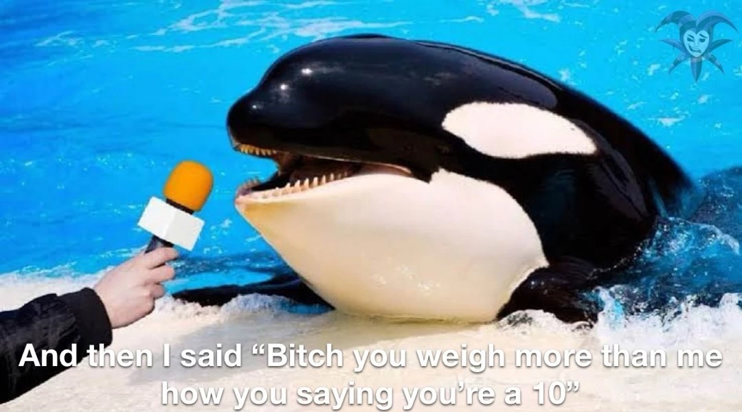 Based orca - meme