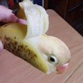 I think my banana has autism