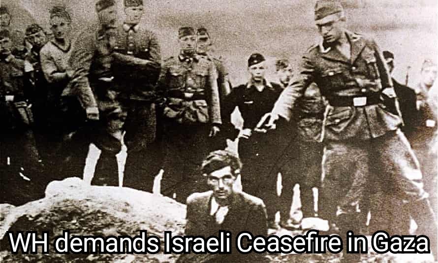 Stand With Israel - meme