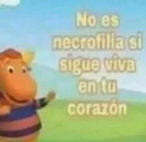No,no lo es - meme