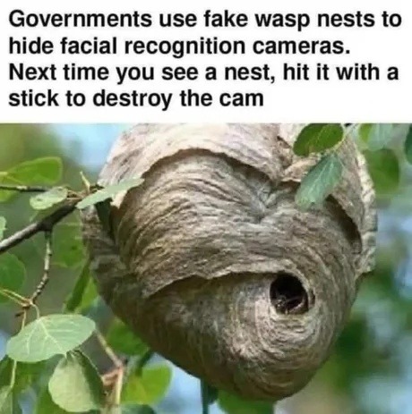 ﻿Governments use fake wasp nests to hide facial recognition cameras: Next time you see a nest; hit it with a stick to destroy the cam