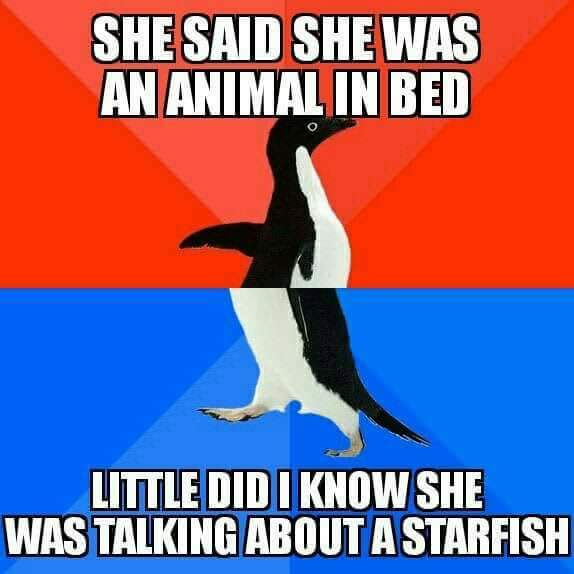 Starfish hahahahahahahahahahahahahaha - Meme by Hani_Sherazi :) Memedroid