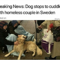 Wholesome News Story #9 (may be a repost but who cares We all need extra cute in our lives)