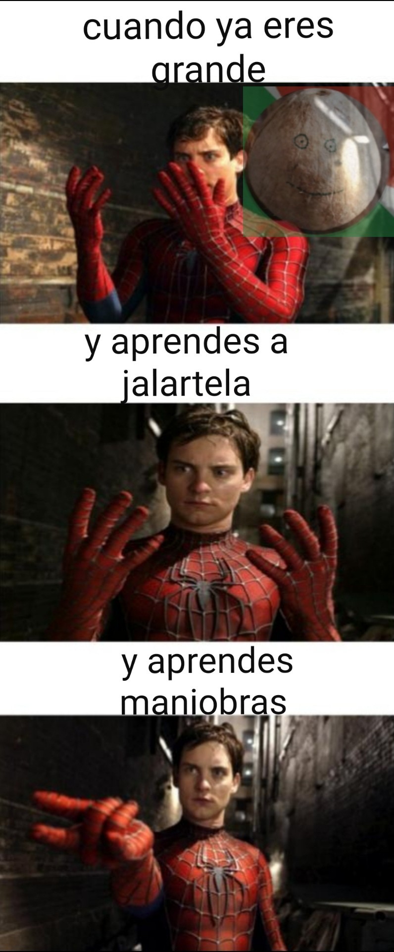 Spiderman grande - meme
