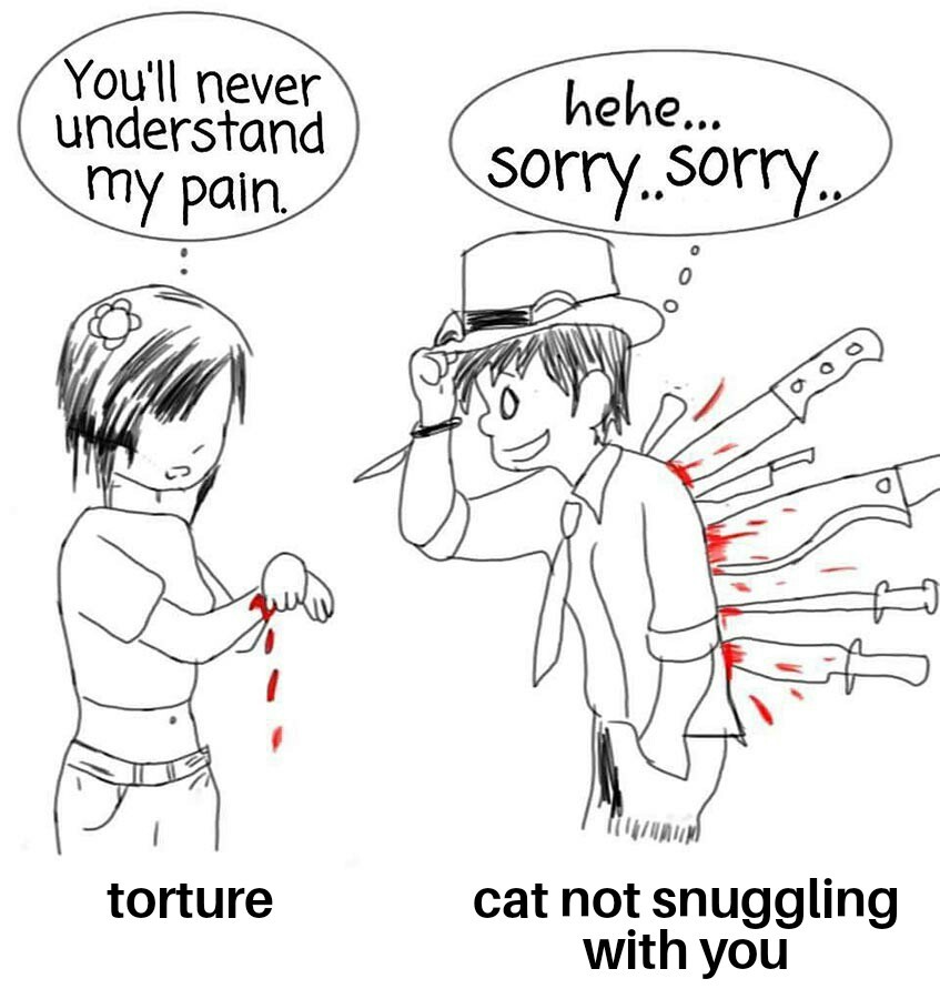 Please snuggle kitty - meme