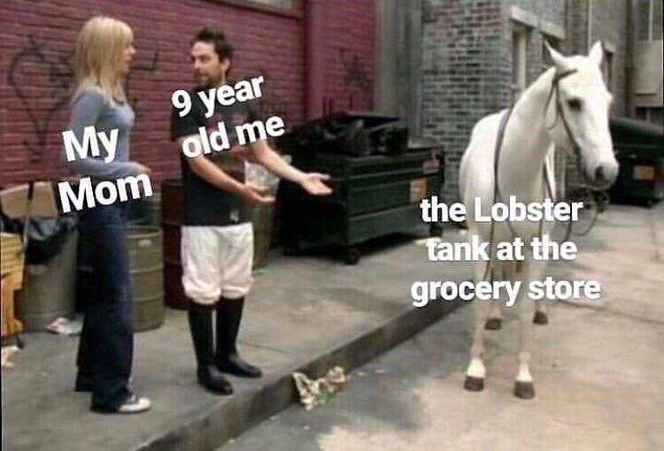 Good ol lobster tank - meme