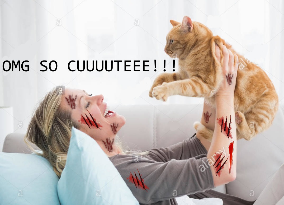 Cat Owners Be Like... - meme