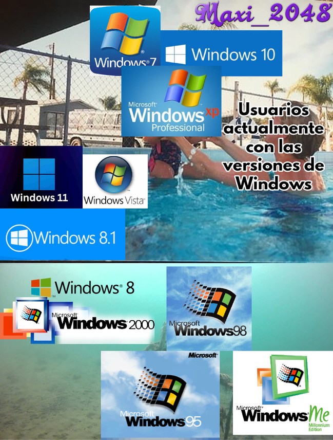Usuarios con las versiones de Windows - meme