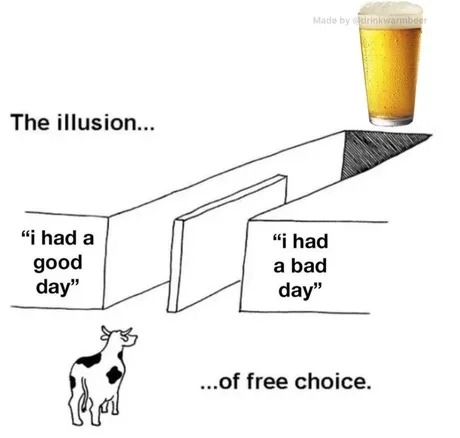 the illusion of free choice - meme