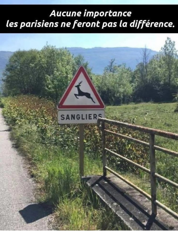 sangliers parisiens - meme