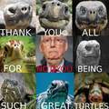 Screw you turtle face