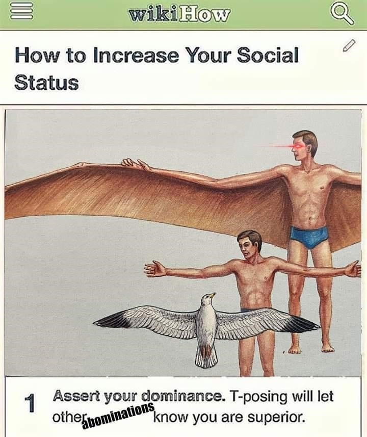 T pose to assert dominance - Meme by Scoots291 :) Memedroid