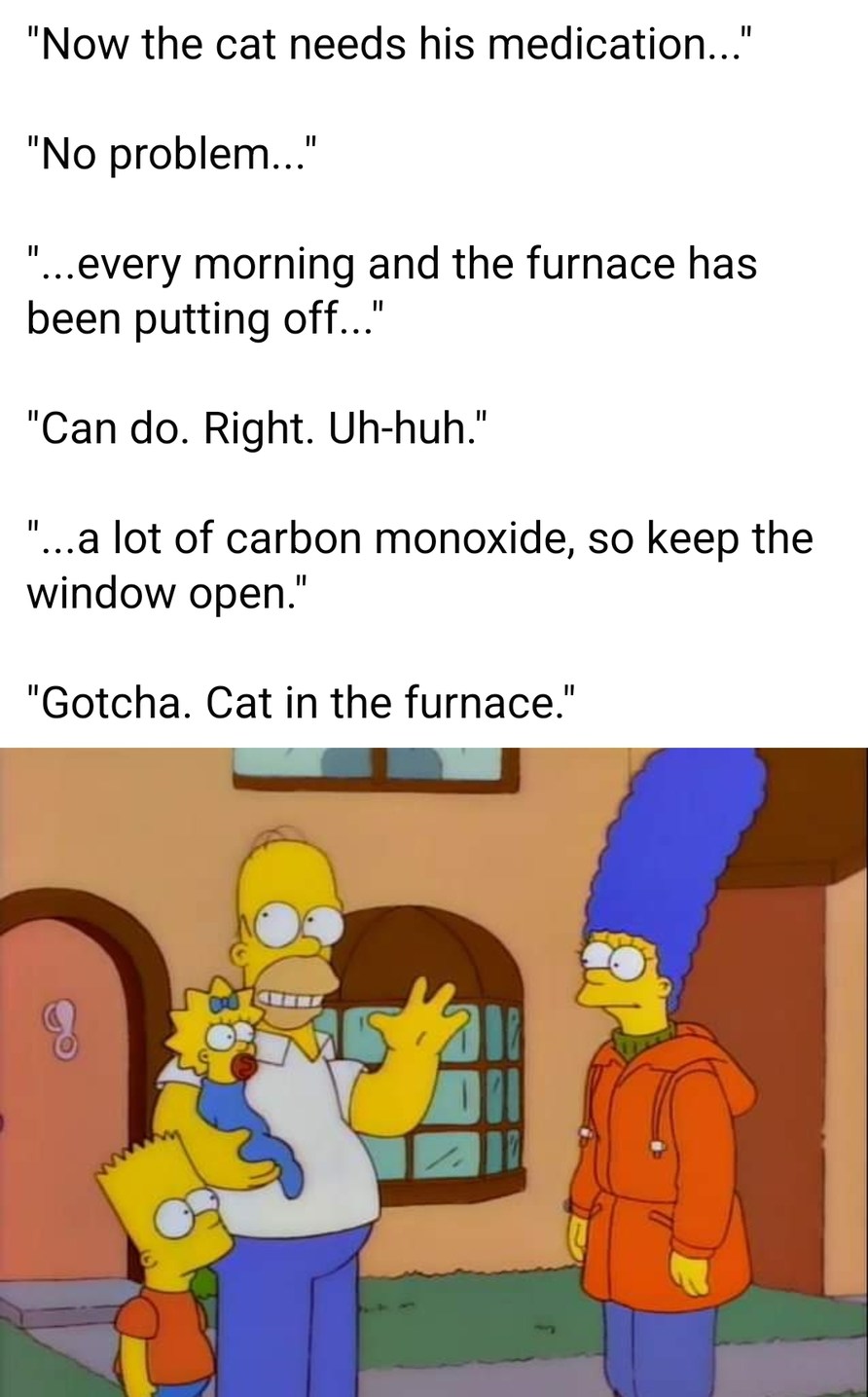 Not like the cat would die. You think it's not used to hell fire? - meme