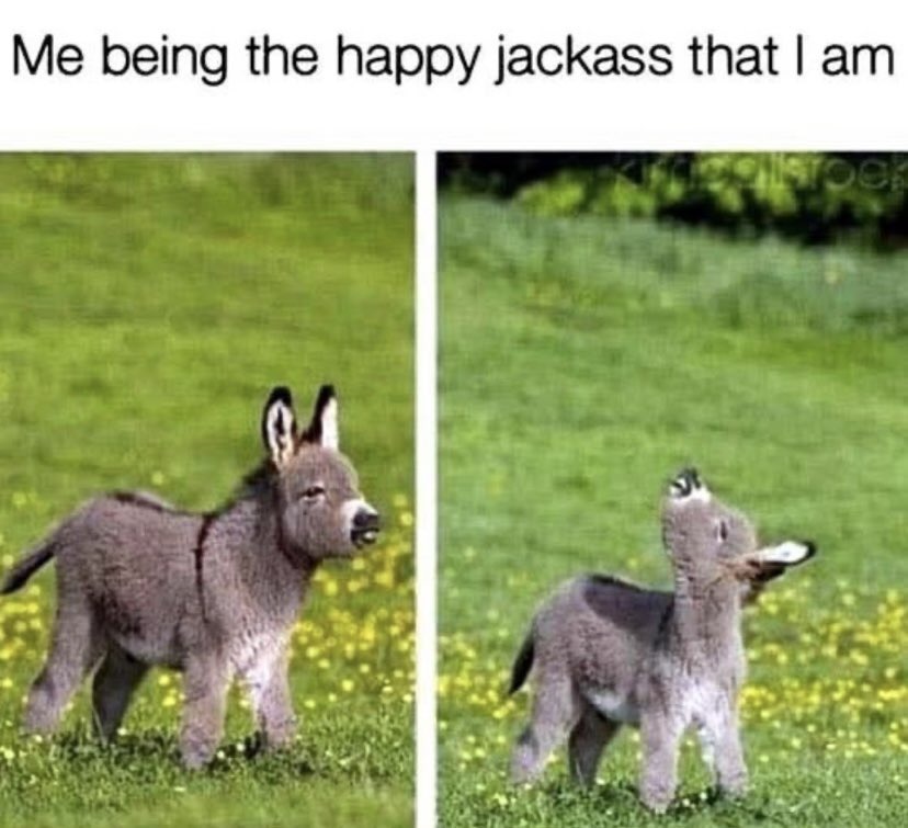 Being happy - meme