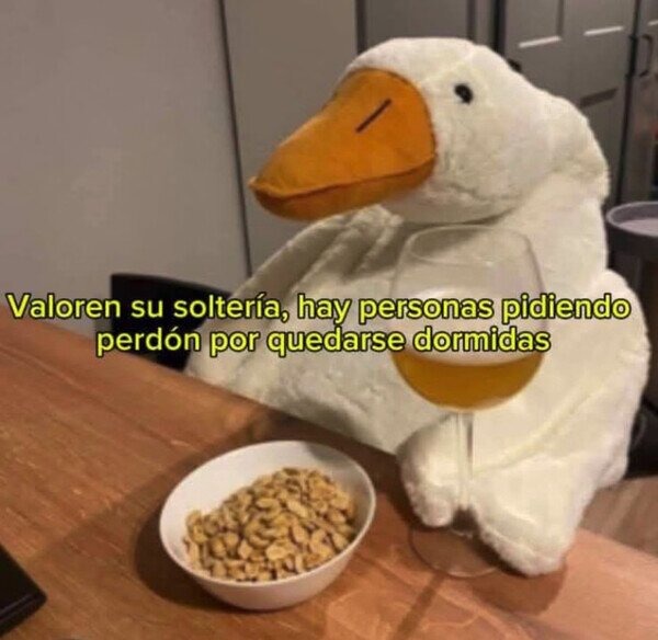 Valoren su soltería... hay gente pidiendo perdón por quedarse dormida - meme