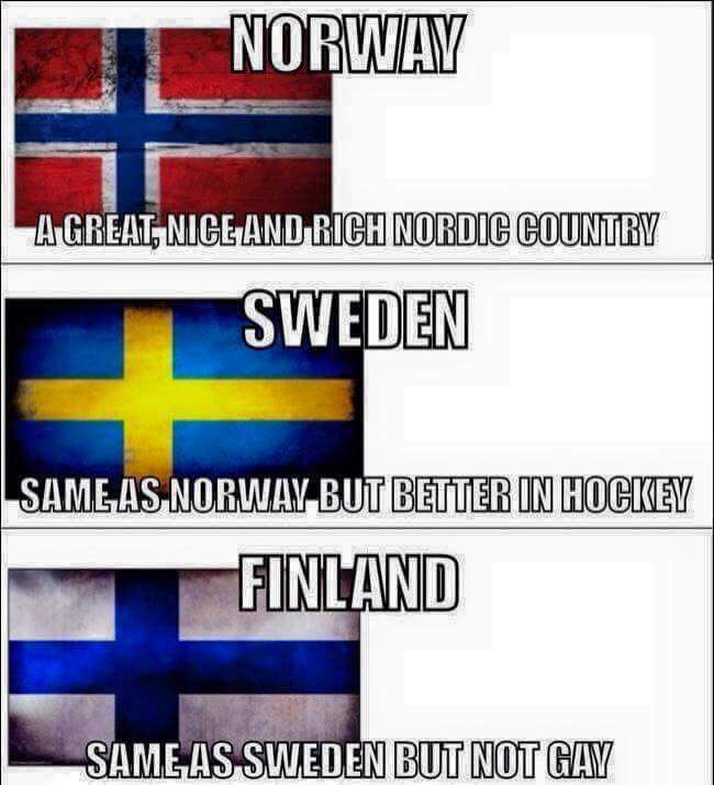 Everything you need to know about nordics - meme