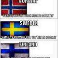 Everything you need to know about nordics