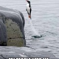Penguin away