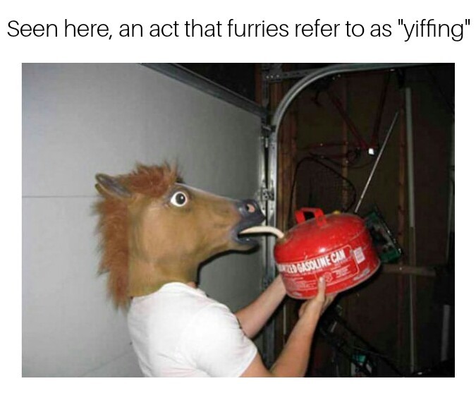 The best Furries memes :) Memedroid