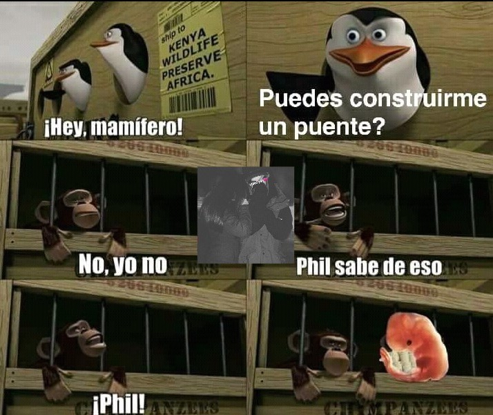 Phil - meme