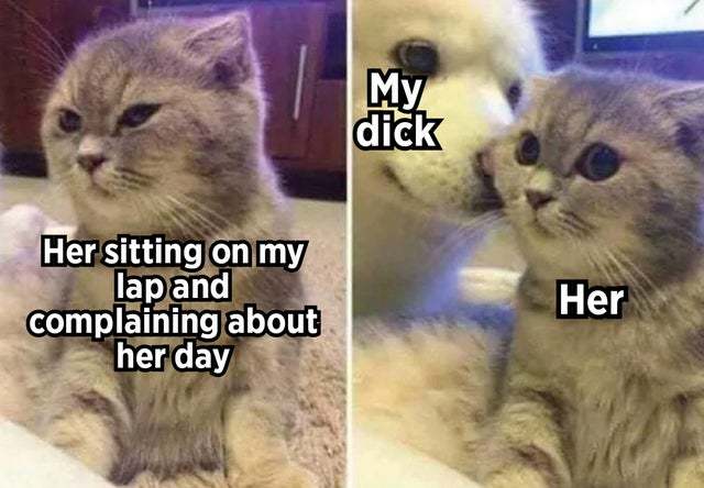 Her sitting on my lap and complaining about her day - meme