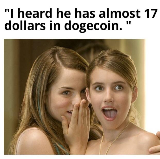 In the future Dogecoins will be what bitcoin is now  - meme