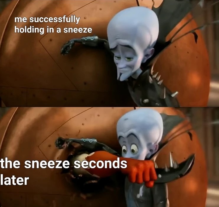 sneezes - meme