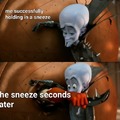 sneezes