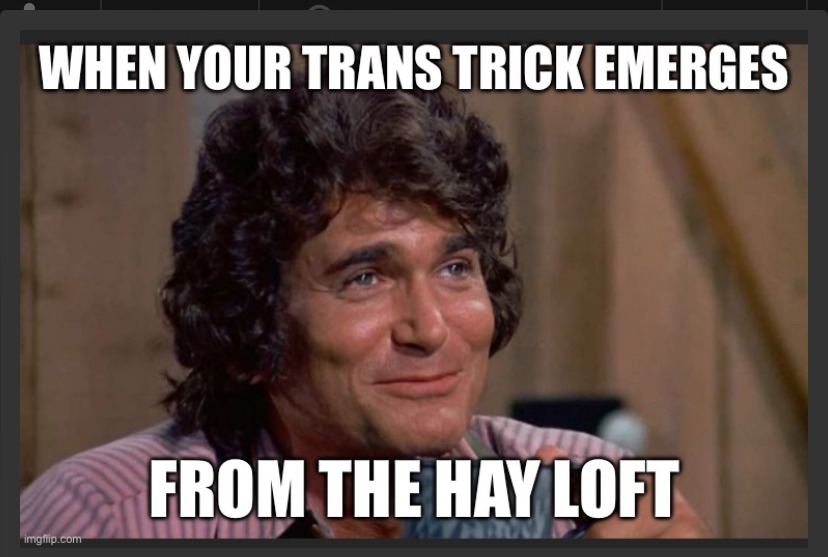Haaay - meme
