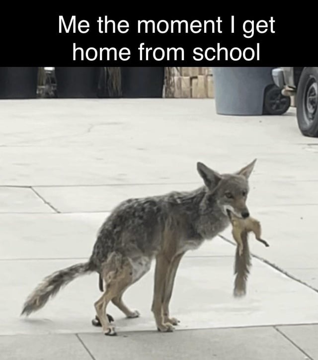 Me 0.5 seconds after getting home from school: horizontal - meme