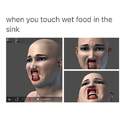 wet food