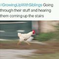 Running cock