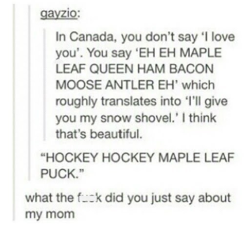 Hockey maple syrup moose moose - meme