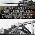 Biggest gun