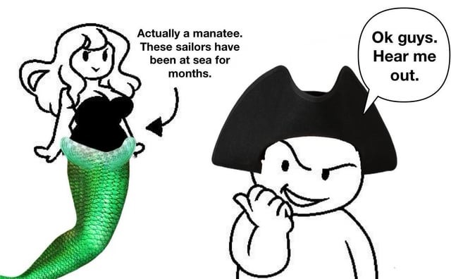 Sailors are confused - meme