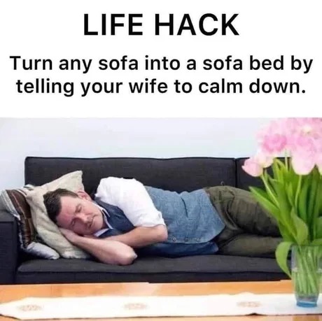 Turn any sofa into a sofa bed - meme