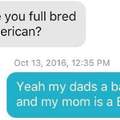 Full bred american