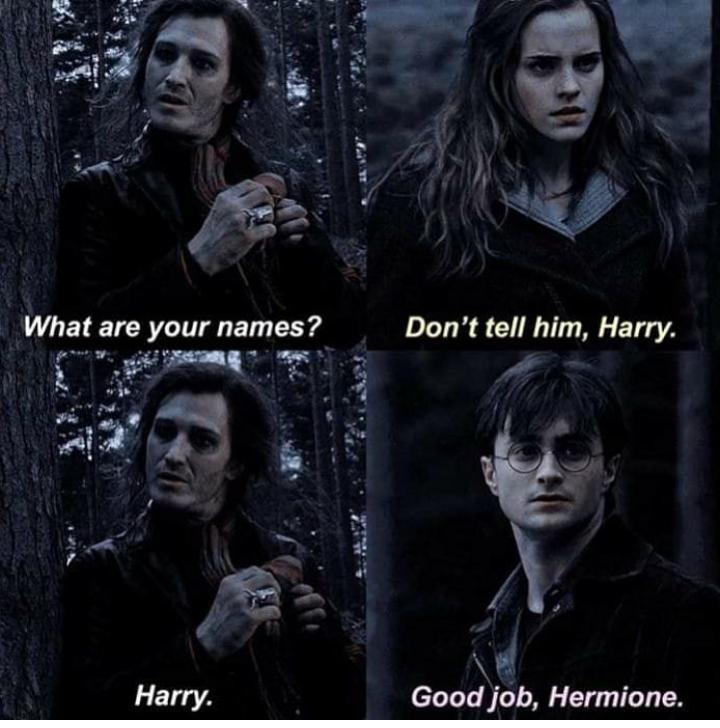 Hermione : Intelijens - meme