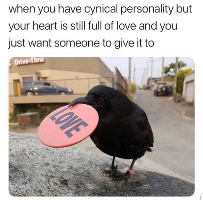 I have a bird sending you a message. Sometimes they accidentally swallow the message and poop it out on your car tho. It says I hope you're having a nice day. - meme