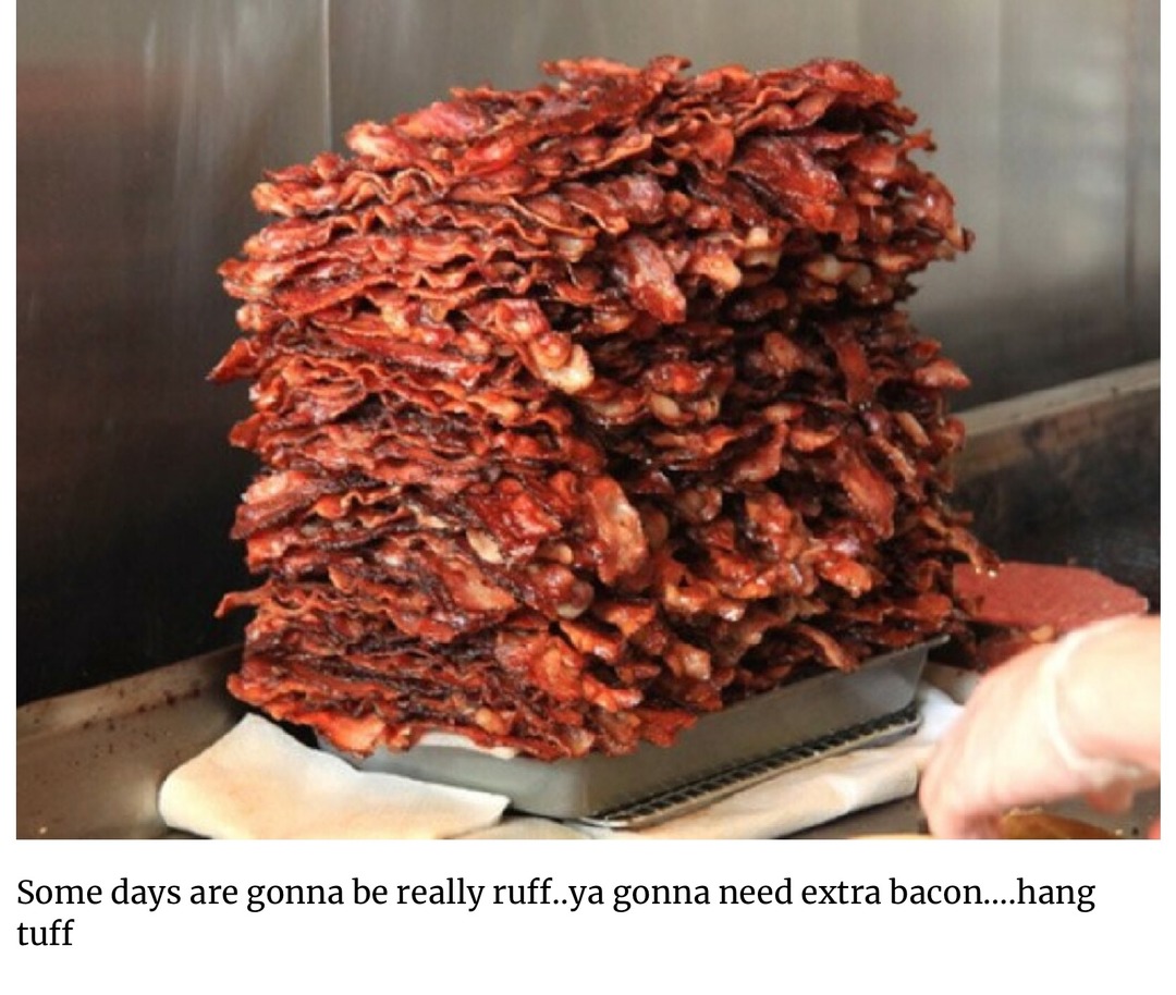 Bacon Rules.  Trump 2024 - meme