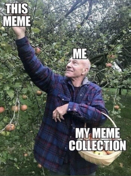 stolen meme