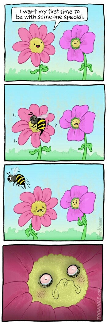 i have a dream that one day a flower will be able to choose its bee m8 instead of being raped. - meme