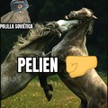 Pelien