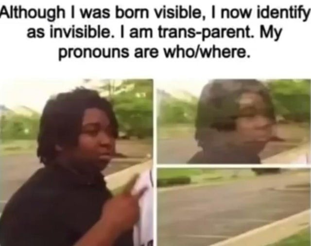 I now identify as invisible - meme